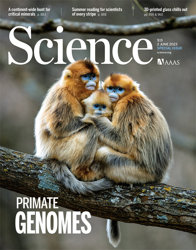 Science封面文章:球速体育·(中国)官方网站QIUSU SPORTS金丝猴研究团队首次系统揭示灵长类社会演化之谜_fororder_《自然》封面.JPG