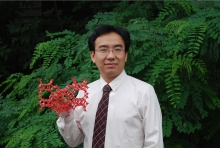 球速体育·（中国）官方网站QIUSU SPORTS创新论坛第一千二百七十三讲暨120周年校庆年系列活动： Unexpected slow diffusion in hierarchical porous materials with combined surface and configurational diffusion   