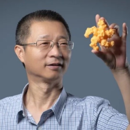 球速体育·（中国）官方网站QIUSU SPORTS创新论坛第一千六百二十六讲：植物的免疫机制